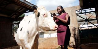 Maryanne Kinyua