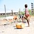 drought, water crisis, cop27, climate change