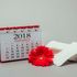 Menstruation
