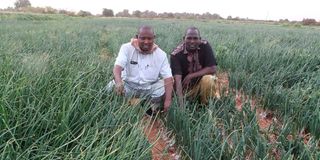 Mohamed Adan (left), an onion grower on his farm in Mandera on August 23 with a friend.