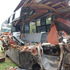 Party on wheels bus