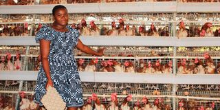 Anna Ndunda with her chicken at Kambi Ya Mawe Village in Makueni County