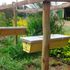 Bee keeping