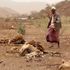 Drought