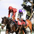 Jockey Lesley Sercombe