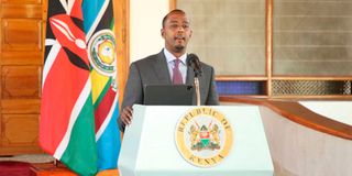 State House Spokesperson Hussein Mohamed