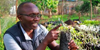 Dennis Nguma with a passion fruit seedling at his farm in Mavindini, Makueni County.