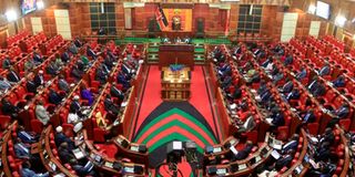 A sitting of the National Assembly.