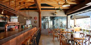 Crafty Chameleon bar