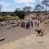Water shortage