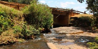 Mariara River