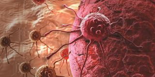 Cancer cell