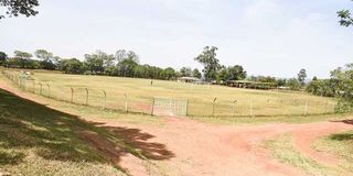 Nzoia Sugar