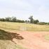 Nzoia Sugar 