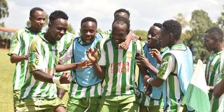 Nzoia Sugar