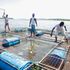 Fishermen collect dead fish from fish cages in Lake Victoria 