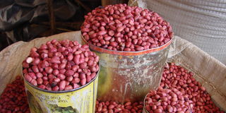 Peanuts