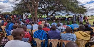 Kajiado lions
