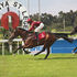 St Leger Cup