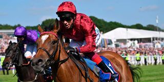 Jockey Frankie Dettori