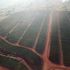 Del Monte Farms