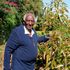 Mzee William Chiira, 90