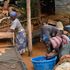 gold mining 