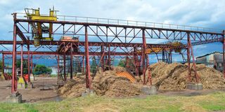 Cane yard at Muhoroni Sugar Company.