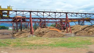 Cane yard at Muhoroni Sugar Company.