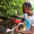  regenerative farmer 