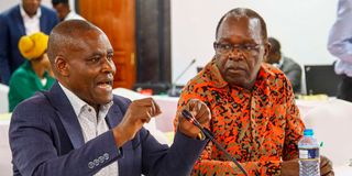 Francis Wanderi and Justus Nyang'aya