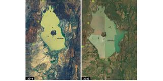 Lake Baringo