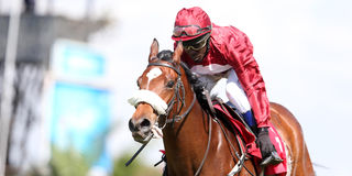 Jockey Ramadhan Wako