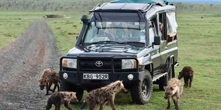 Hyenas