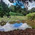 Ngong Road Forest Sanctuary