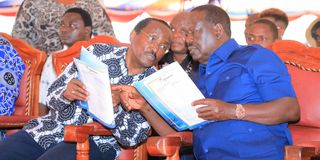 Raila Odinga