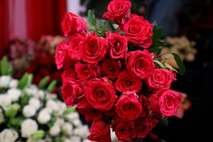 Roses