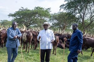  President Yoweri Museveni 