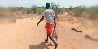 Bush butchery