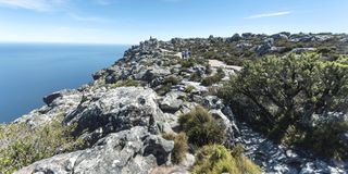 Table Mountain