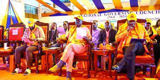 ODM National Governing Council