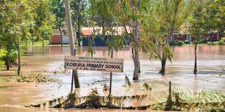 Kobura Primary School