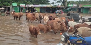 Ahero town