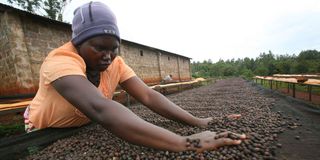 Coffee farmer