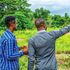 land survey 
