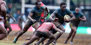 rugby
