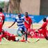 Police vs Leopards