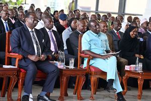 William Ruto and Musalia Mudavadi