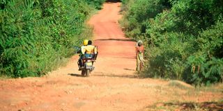 Shimba Hills National Reserve