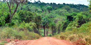 Shimba Hills National Reserve